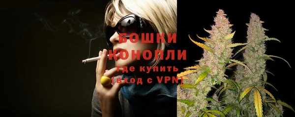 спиды Богородск