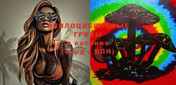 не бодяженный Бородино