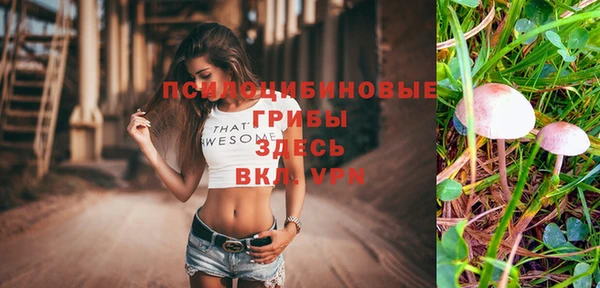 индика Сатка