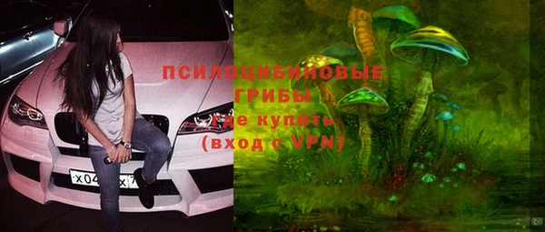 PSILOCYBIN Богородицк