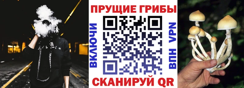 Галлюциногенные грибы прущие грибы  Оренбург 